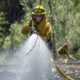 AP photo of fire crews watering down vegetation on Cache Creek Road