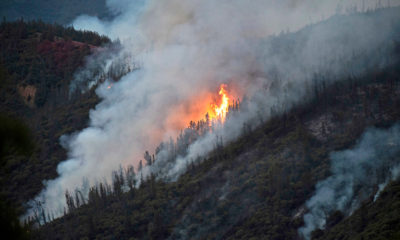 Photo of fire and firefighter in Lakeport, CA