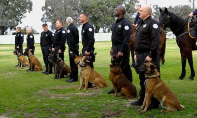Fresno police department K9 teams at swearing in ceremony.