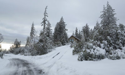 Photo of snow in Shaver Lake area