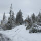 Photo of snow in Shaver Lake area