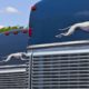 Picture of parked Greyhound buses