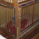 Photo of two boys in cages in a home in Tulelake, CA