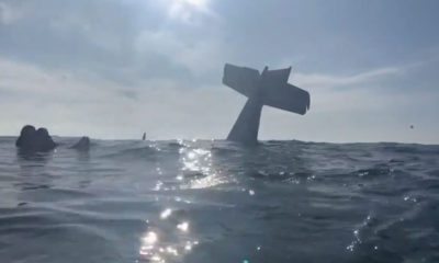 Photo of a plane crash in Half Moon Bay