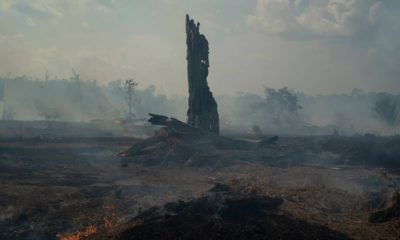 Photo of a forest fire in Altamira in Brazil's Amazon