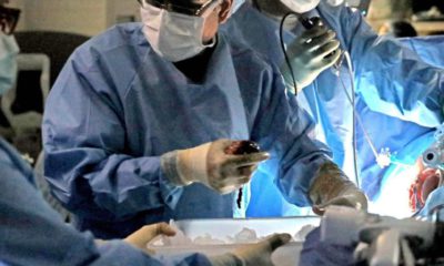 Photo of a transplant surgeon