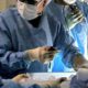 Photo of a transplant surgeon