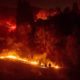 Photo of firefighters working to contain a wildfire in Moraga, Ca.