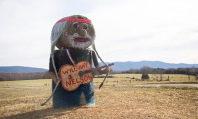 Photo of 'Will-Hay Nelson' hay sculpture