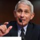 Photo of Dr. Anthony Fauci
