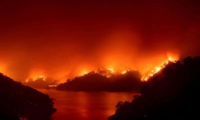 Photo of fire burning at Lake Berryessa in Napa County