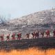 Photo of firefighters